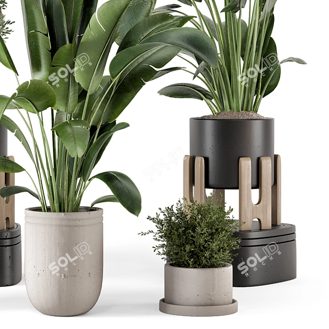 Rusty Concrete Pot Indoor Plants 3D model image 6