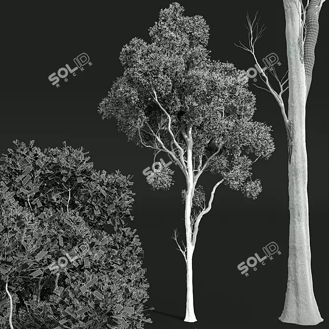 Giant Tree 3D Models Bundle 3D model image 2