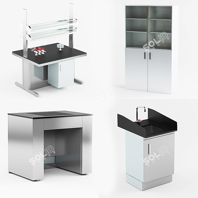 Laboratory Wall Bench Island Sink 3D model image 1