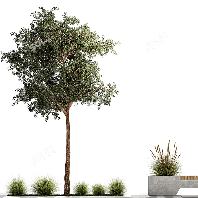 Urban Landscape Collection: Bench, Planters, Trees 3D model image 5