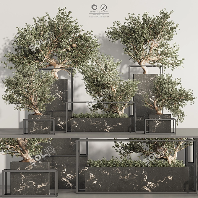  Indoor Plant Bonsai Set 87 3D model image 1