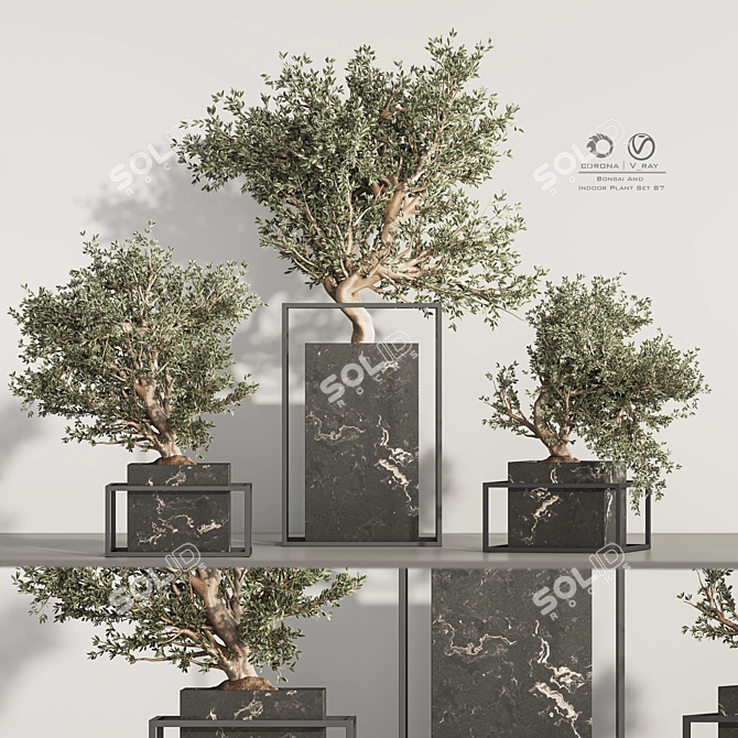  Indoor Plant Bonsai Set 87 3D model image 3