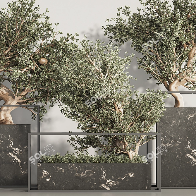  Indoor Plant Bonsai Set 87 3D model image 4