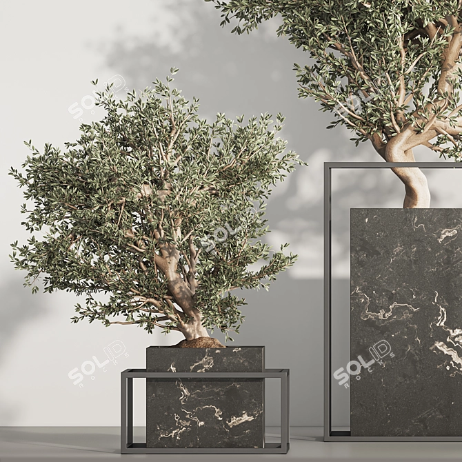  Indoor Plant Bonsai Set 87 3D model image 5