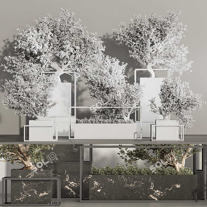  Indoor Plant Bonsai Set 87 3D model image 7