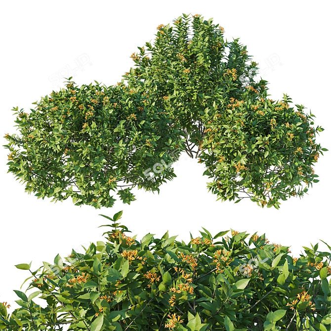 Industrial Bushes 03 3D Model 3D model image 1