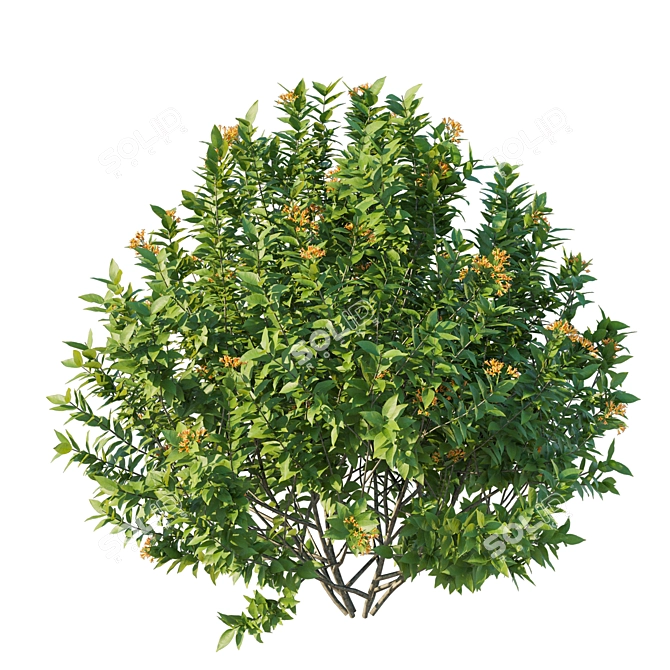 Industrial Bushes 03 3D Model 3D model image 2