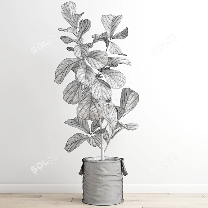 Polygonal Ficus Lyrata 3D Model 3D model image 4