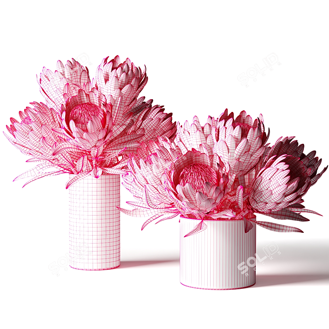 Protea Bouquets in Glass Vases 3D model image 2
