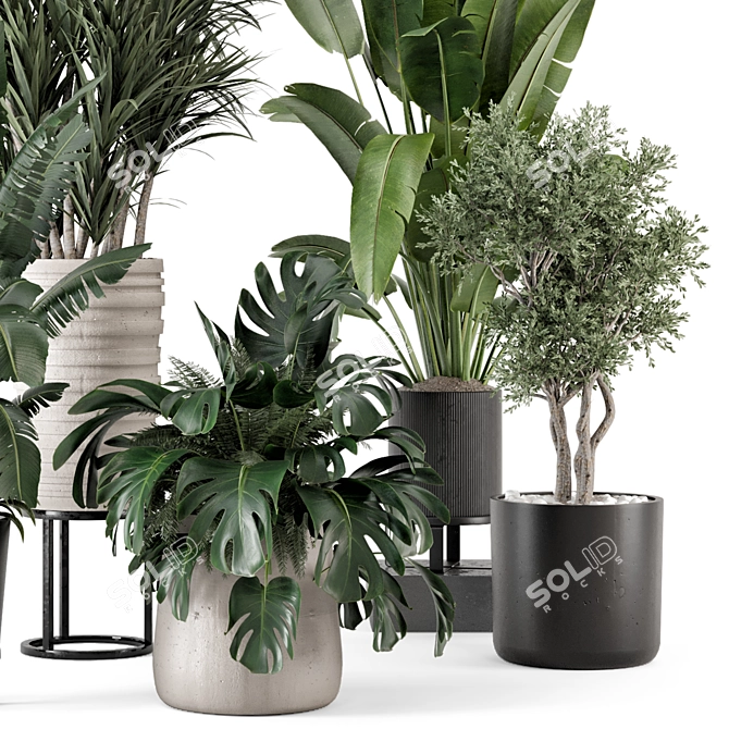 Rustic Concrete Pot Indoor Plants 3D model image 2