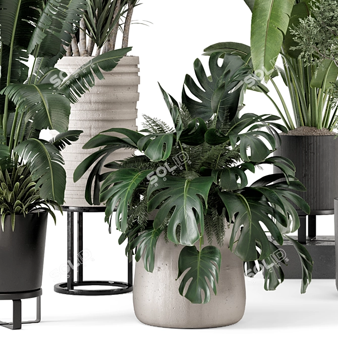 Rustic Concrete Pot Indoor Plants 3D model image 5