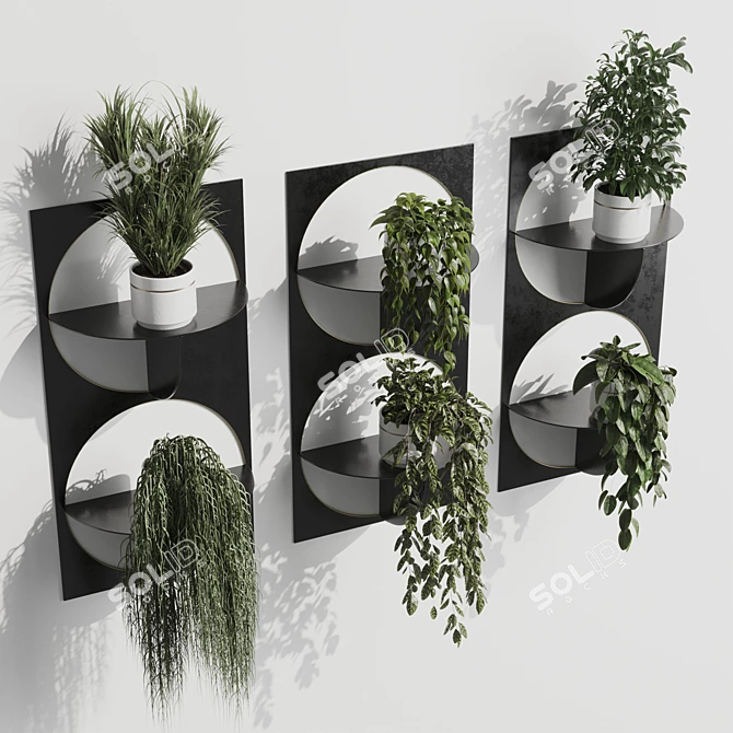 324-Plant Indoor Wall Shelf 3D model image 4