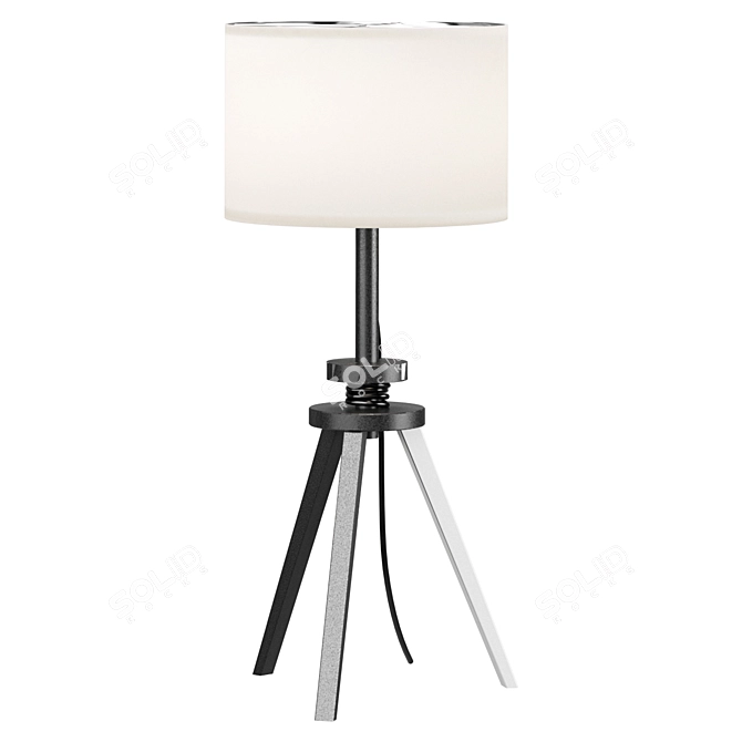 Wooden Table Lamp, Ash/White 3D model image 3