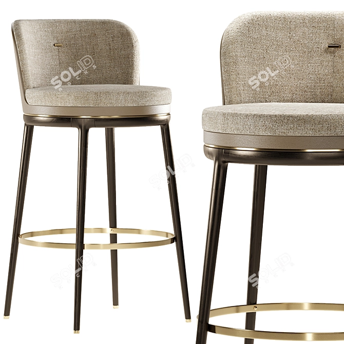 Aster Hicks Modern Barstool Furniture 3D model image 1