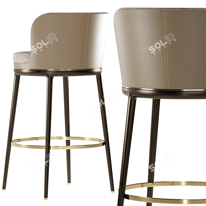 Aster Hicks Modern Barstool Furniture 3D model image 2