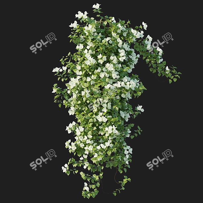 Corona Bougainvillea Vines 3D Model 3D model image 3