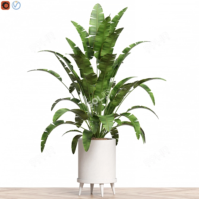 Corona Vray Plant Collection 88 3D model image 1