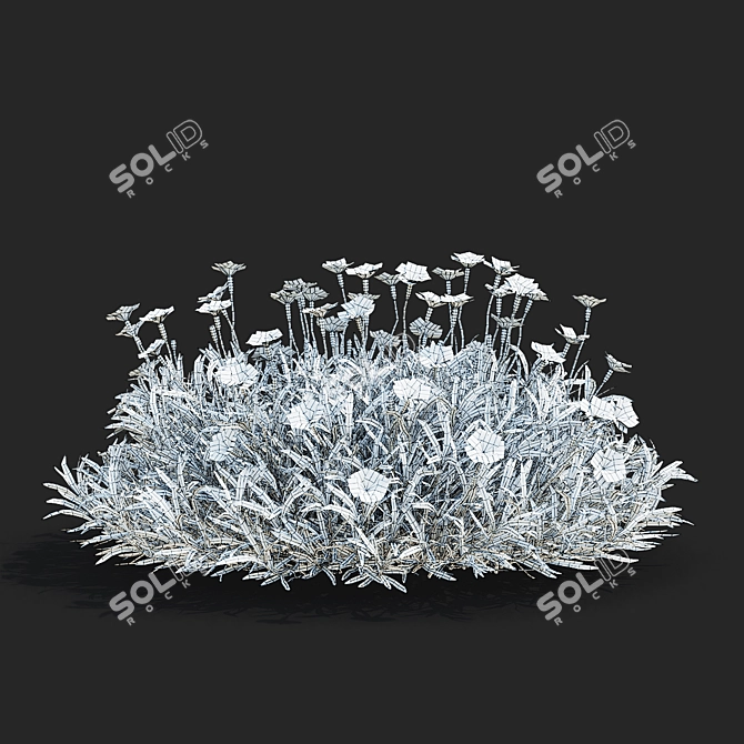 Blue-grey Dianthus Flower Set 3D model image 5