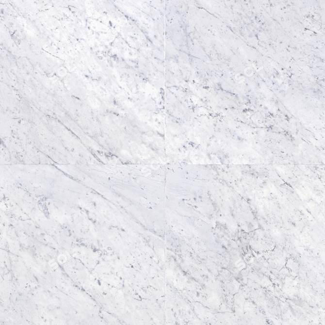 Carrara Marble Tiles Collection 3D model image 2