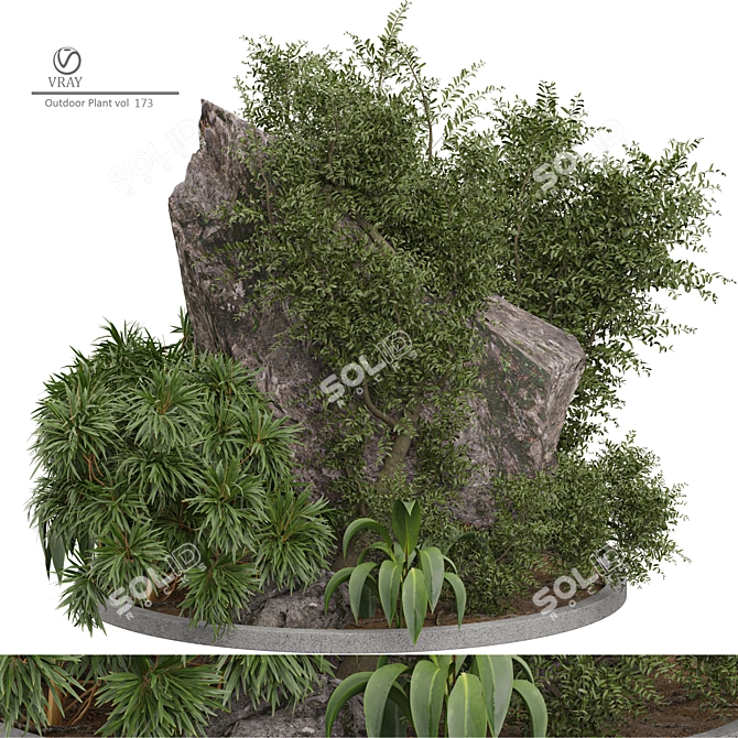 Vintage Vray Outdoor Plant Model 3D model image 1