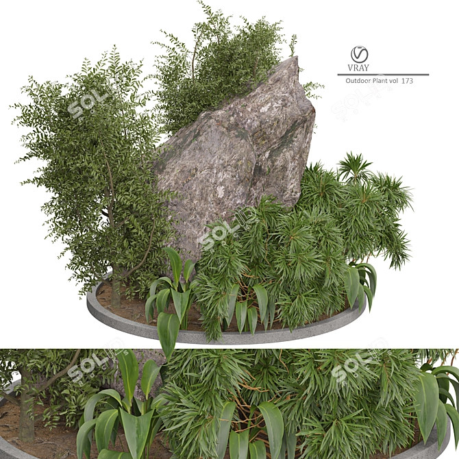 Vintage Vray Outdoor Plant Model 3D model image 3