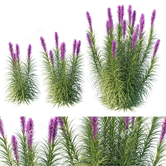 Astral Liatris 3D Model Kit 3D model image 1