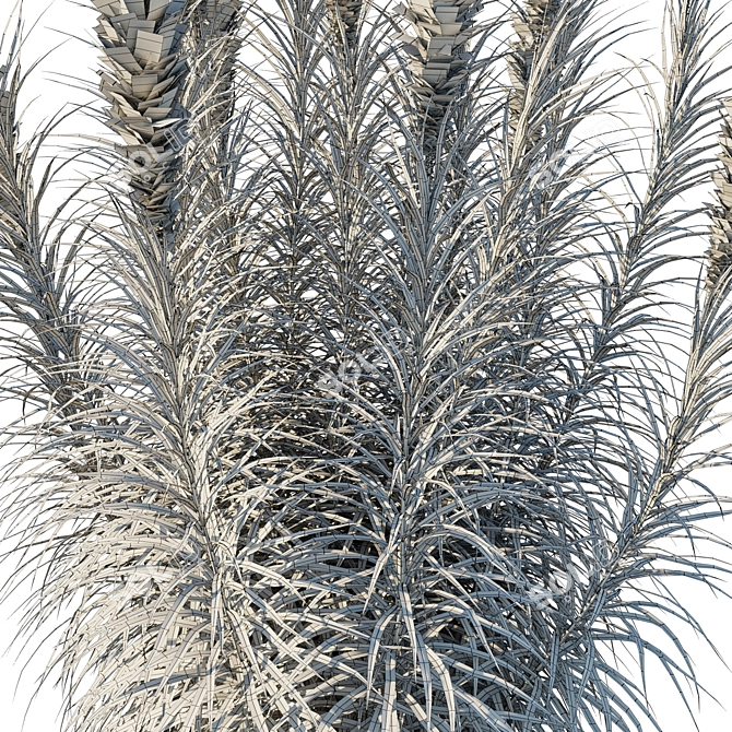 Astral Liatris 3D Model Kit 3D model image 3