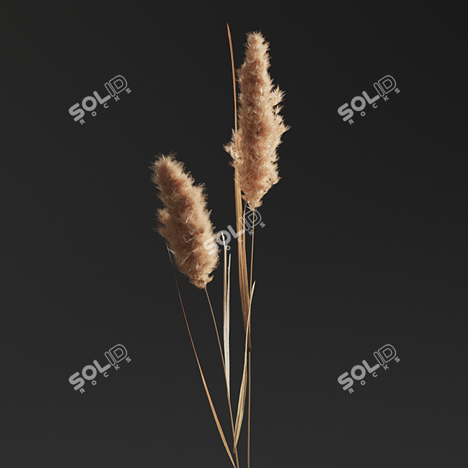 Natural Decor Plant Set 01 3D model image 2