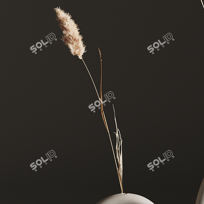 Natural Decor Plant Set 01 3D model image 3