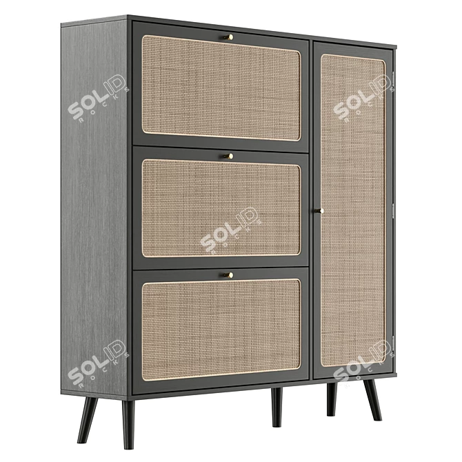 UV Unwrapped Shoe Storage Cabinet 3D model image 4