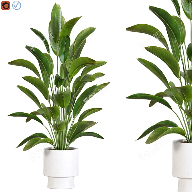 Botanical 3D Plant Collection 3D model image 1