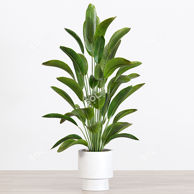 Botanical 3D Plant Collection 3D model image 2