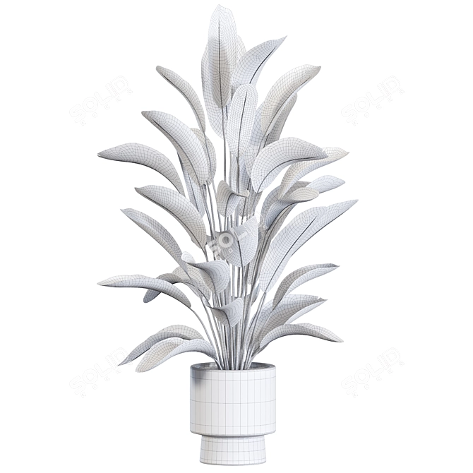 Botanical 3D Plant Collection 3D model image 3