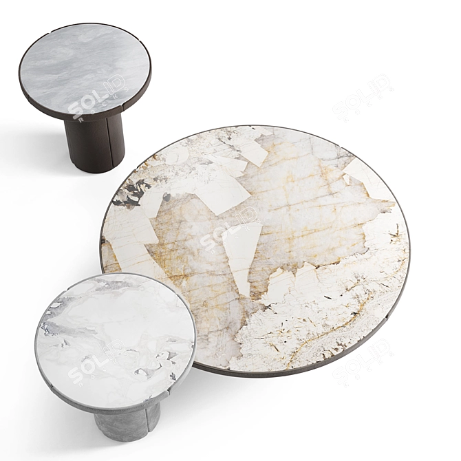 Modern Elegant Marble Coffee Tables 3D model image 3