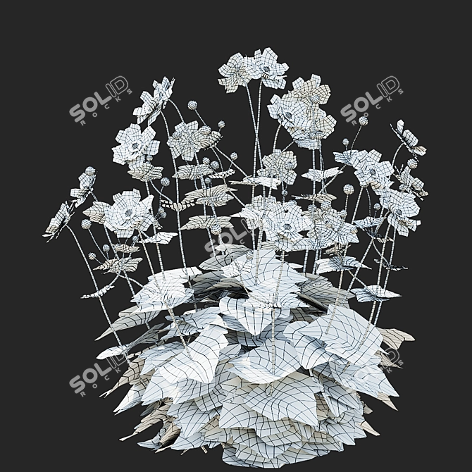 Hybrid Anemona Bush | 3D Plant Model 3D model image 5