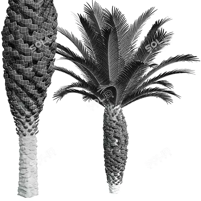 Tropical Plant 3D Models Collection 3D model image 5