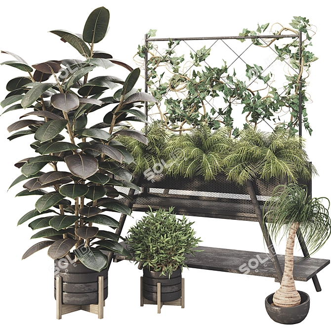 Botanical Treasure Box 25 3D model image 1