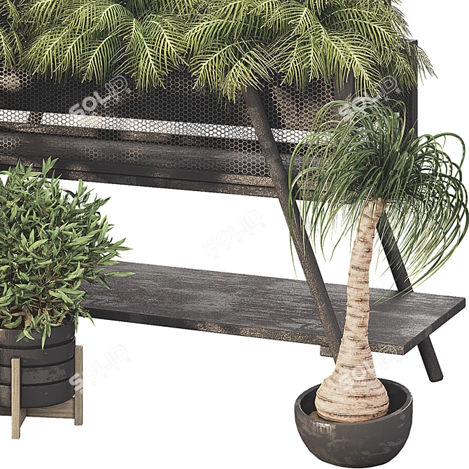 Botanical Treasure Box 25 3D model image 3