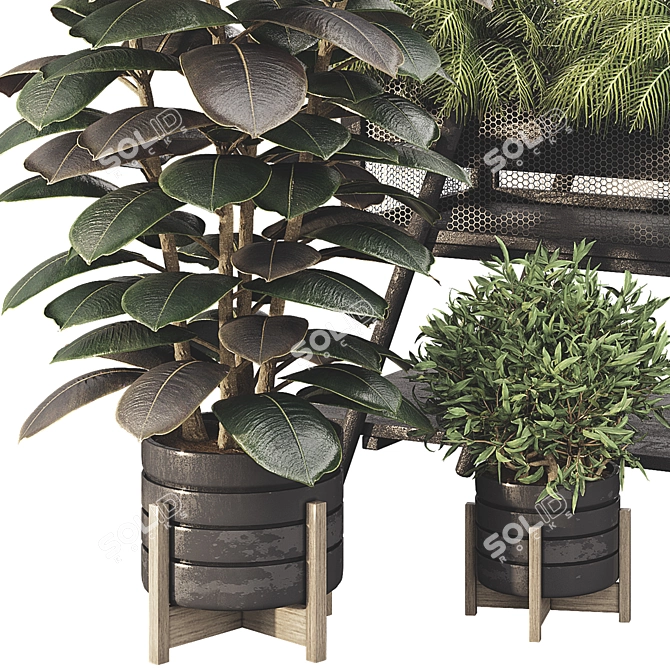 Botanical Treasure Box 25 3D model image 4