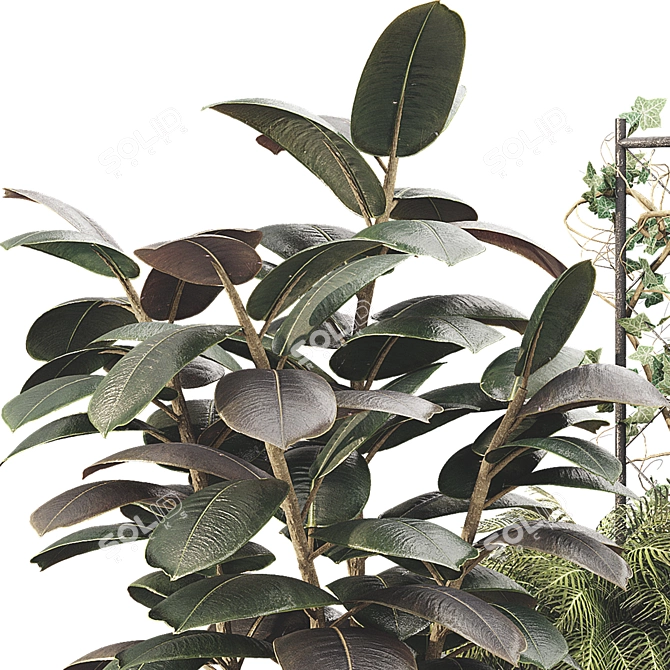 Botanical Treasure Box 25 3D model image 6