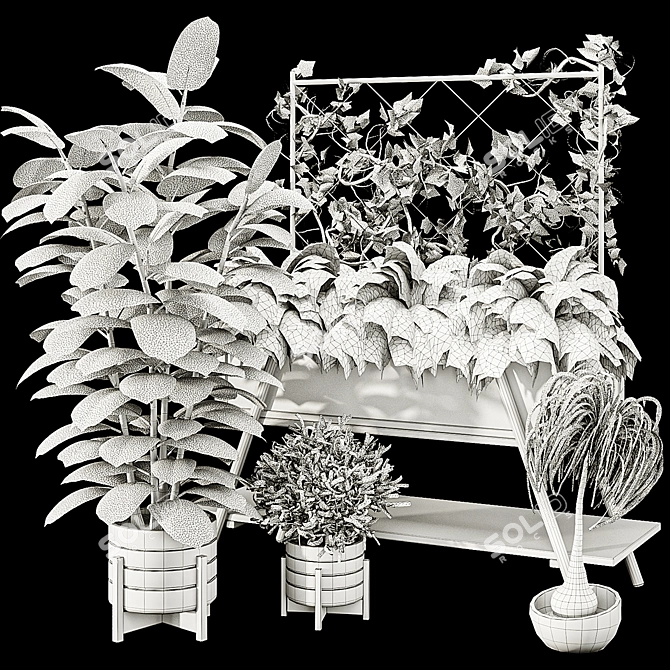 Botanical Treasure Box 25 3D model image 7