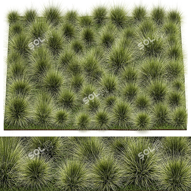 Urban Needle Grass Collection 3D model image 1