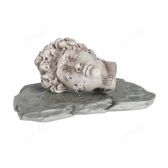 David's Face Sculpture Ensemble 3D model image 1