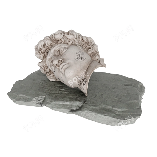 David's Face Sculpture Ensemble 3D model image 5