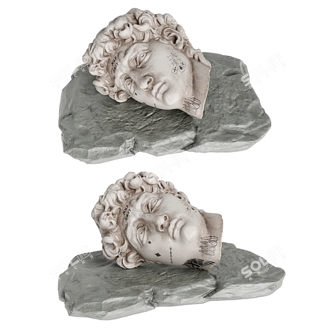 David's Face Sculpture Ensemble 3D model image 7