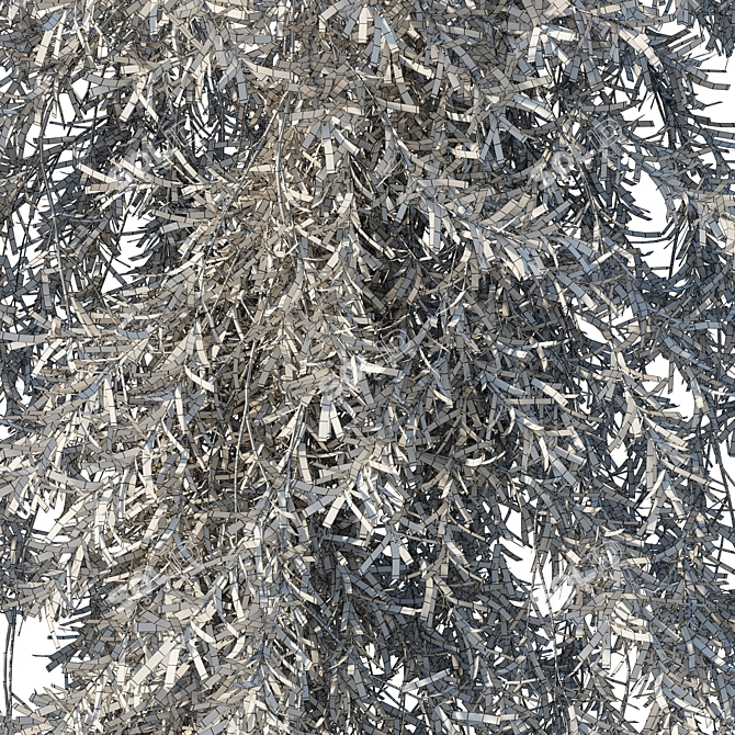 Vines Rosemary 3D Model 2016 3D model image 3