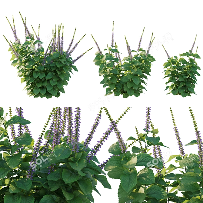 Belly Buster Plant Replica 3D model image 1