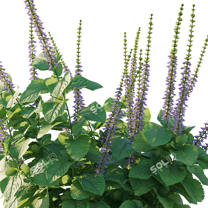 Belly Buster Plant Replica 3D model image 2