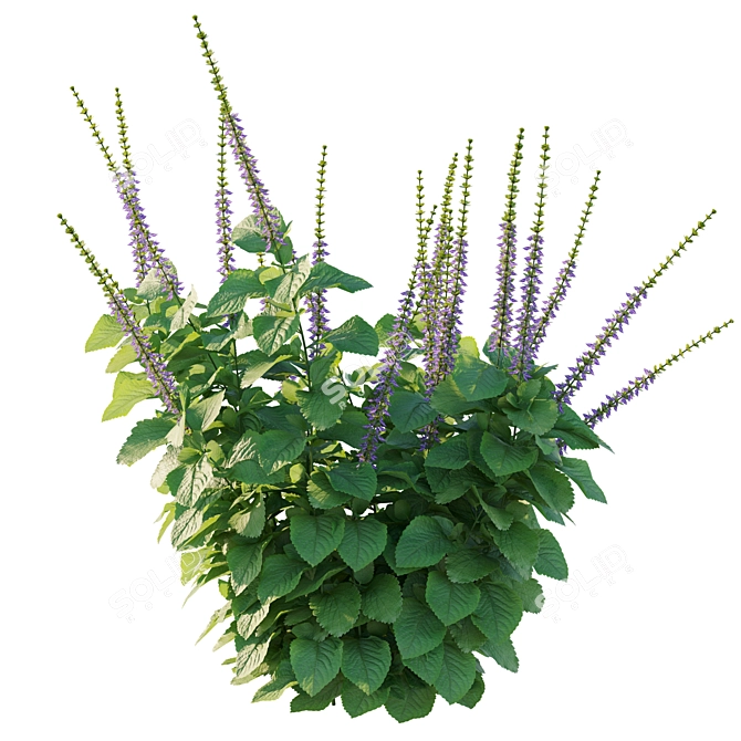 Belly Buster Plant Replica 3D model image 3