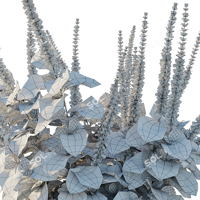 Belly Buster Plant Replica 3D model image 4